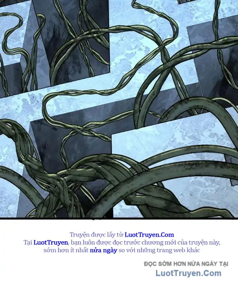 Mệnh Luân Chi Chủ! Khi Dị Biến Giáng Lâm Nhân Gian! Chapter 182 - Trang 2