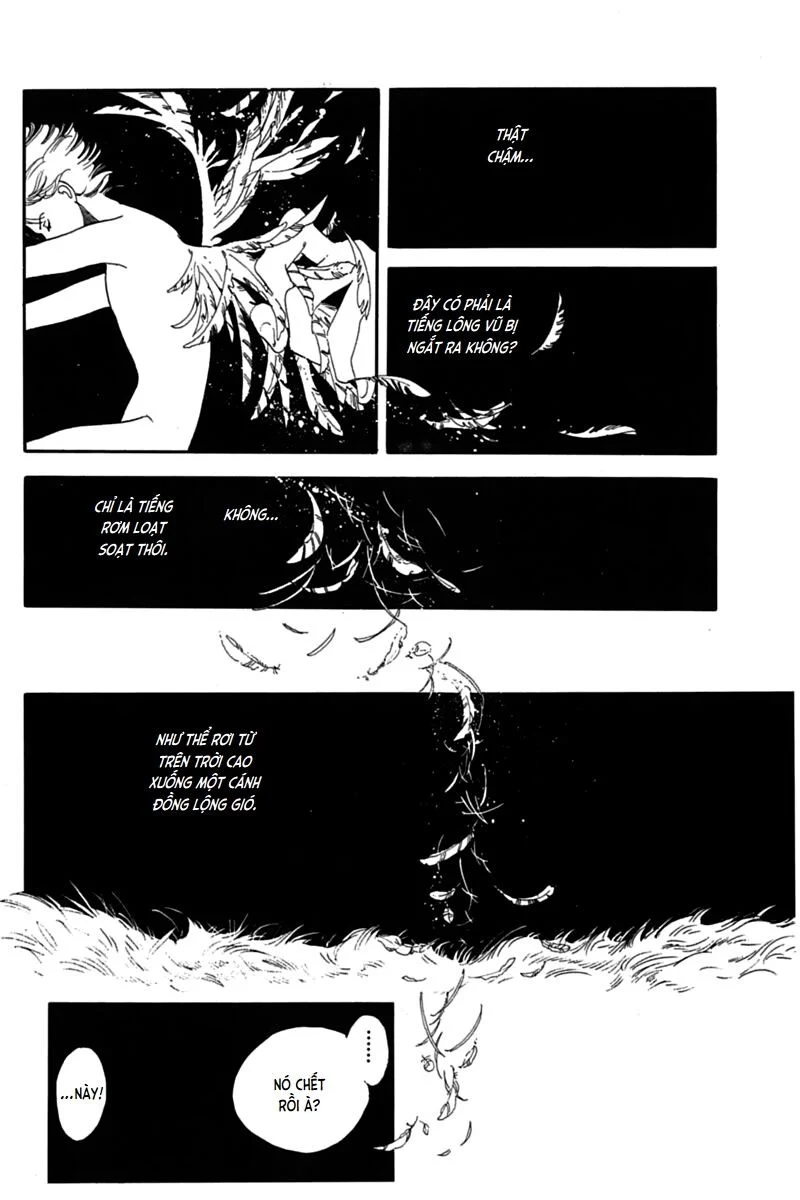 Mesh Chapter 15 - Trang 2