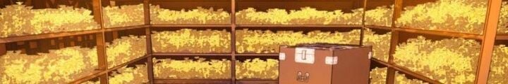 Mời Công Tử Trảm Yêu Chapter 8 - Trang 2