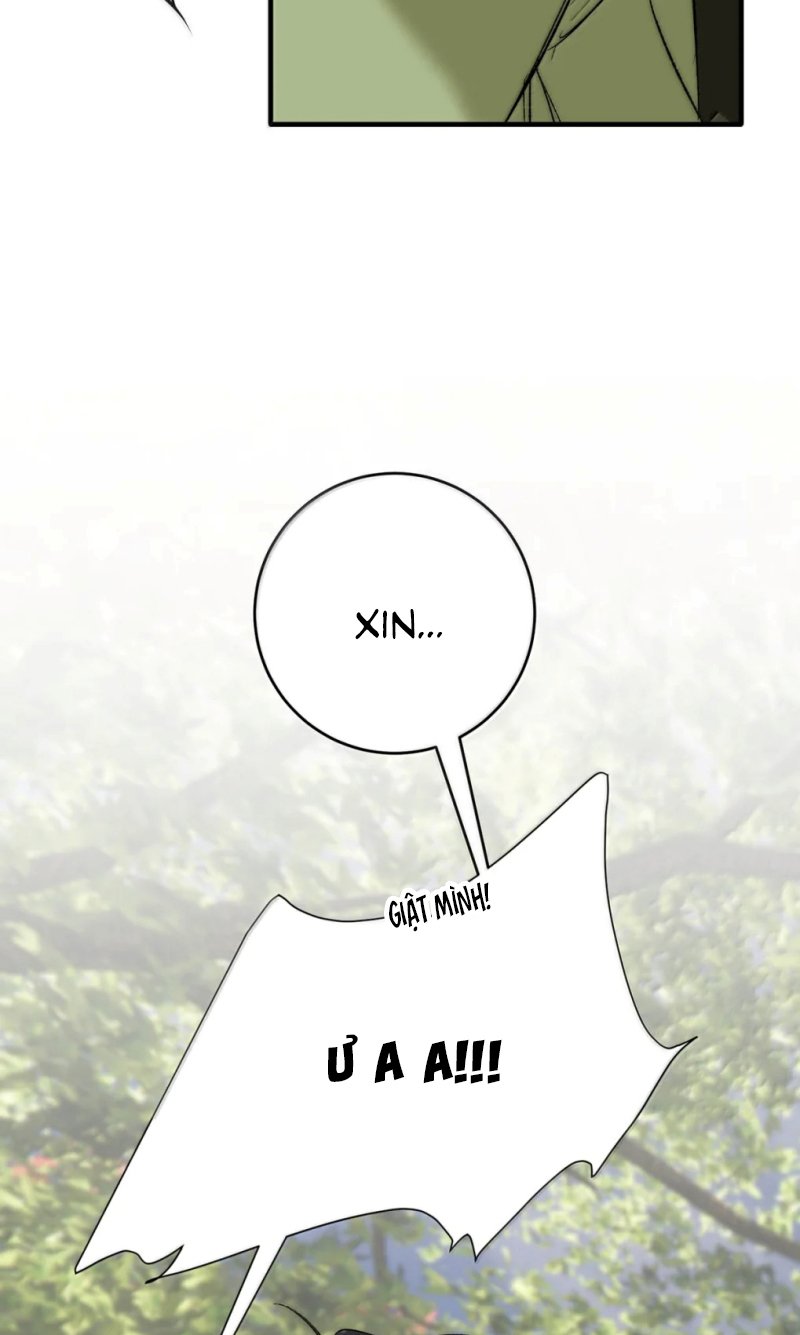 Mỗi Ngày Đều Muốn Làm Bệnh Kiều Vương Tử Xấu Hổ Muốn Độn Thổ Chapter 38 12