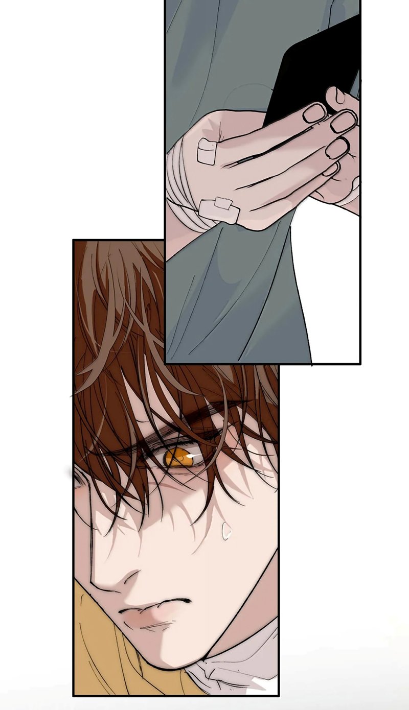 Mỗi Ngày Đều Muốn Làm Bệnh Kiều Vương Tử Xấu Hổ Muốn Độn Thổ Chapter 39 12