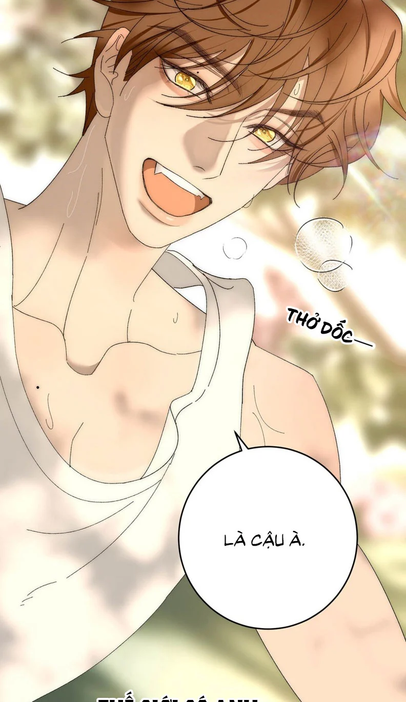 Mỗi Ngày Đều Muốn Làm Bệnh Kiều Vương Tử Xấu Hổ Muốn Độn Thổ Chapter 4 - Trang 2