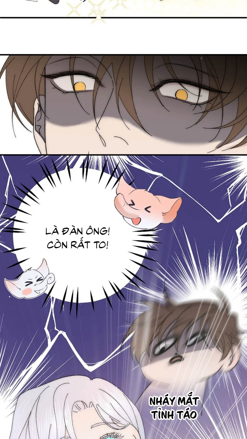 Mỗi Ngày Đều Muốn Làm Bệnh Kiều Vương Tử Xấu Hổ Muốn Độn Thổ Chapter 4 - Trang 2