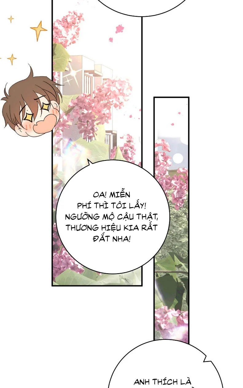 Mỗi Ngày Đều Muốn Làm Bệnh Kiều Vương Tử Xấu Hổ Muốn Độn Thổ Chapter 4 - Trang 2