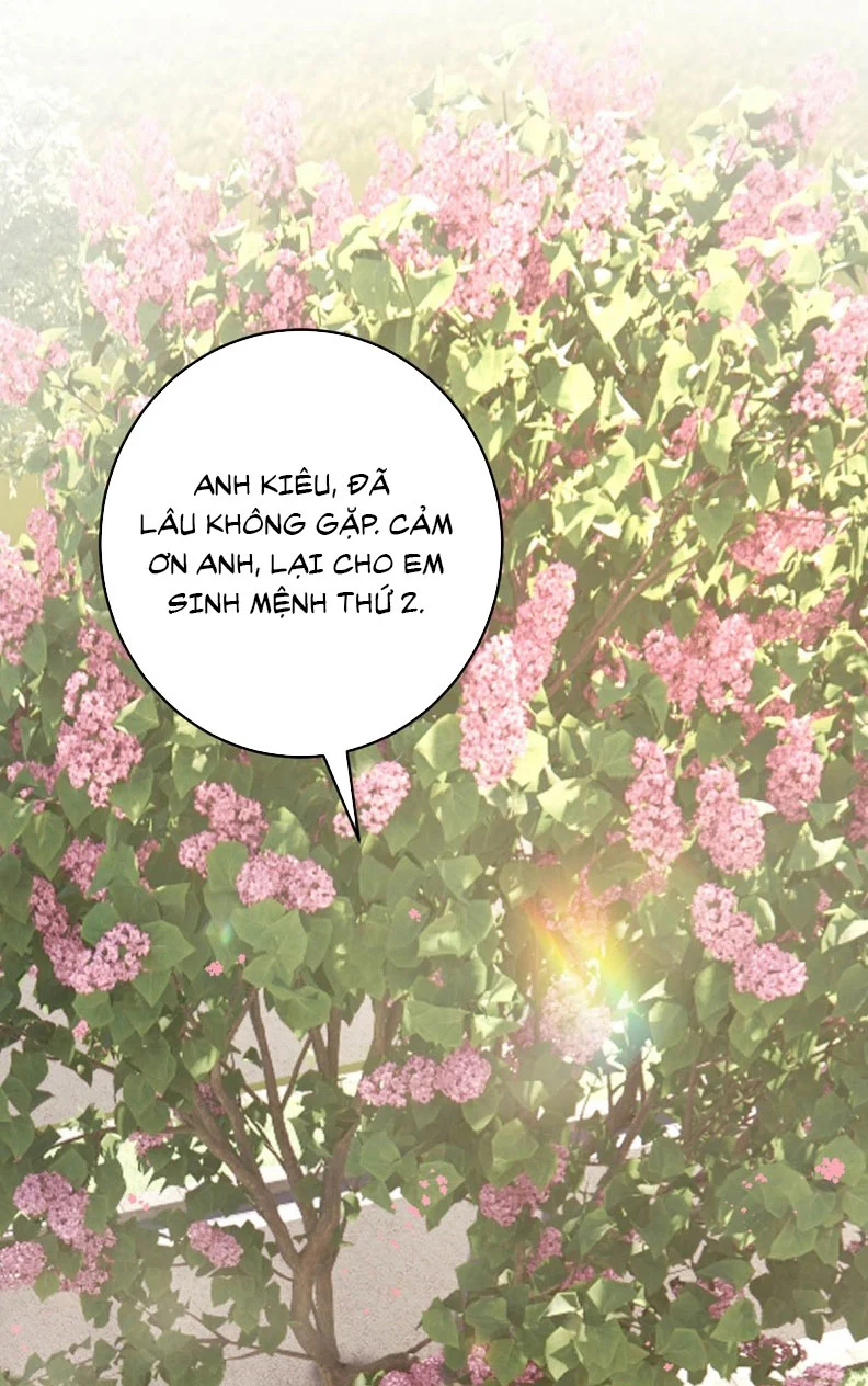 Mỗi Ngày Đều Muốn Làm Bệnh Kiều Vương Tử Xấu Hổ Muốn Độn Thổ Chapter 4 - Trang 2