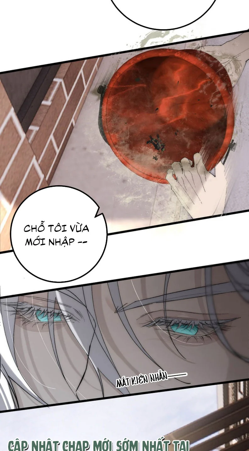 Mỗi Ngày Đều Muốn Làm Bệnh Kiều Vương Tử Xấu Hổ Muốn Độn Thổ Chapter 5 - Trang 2
