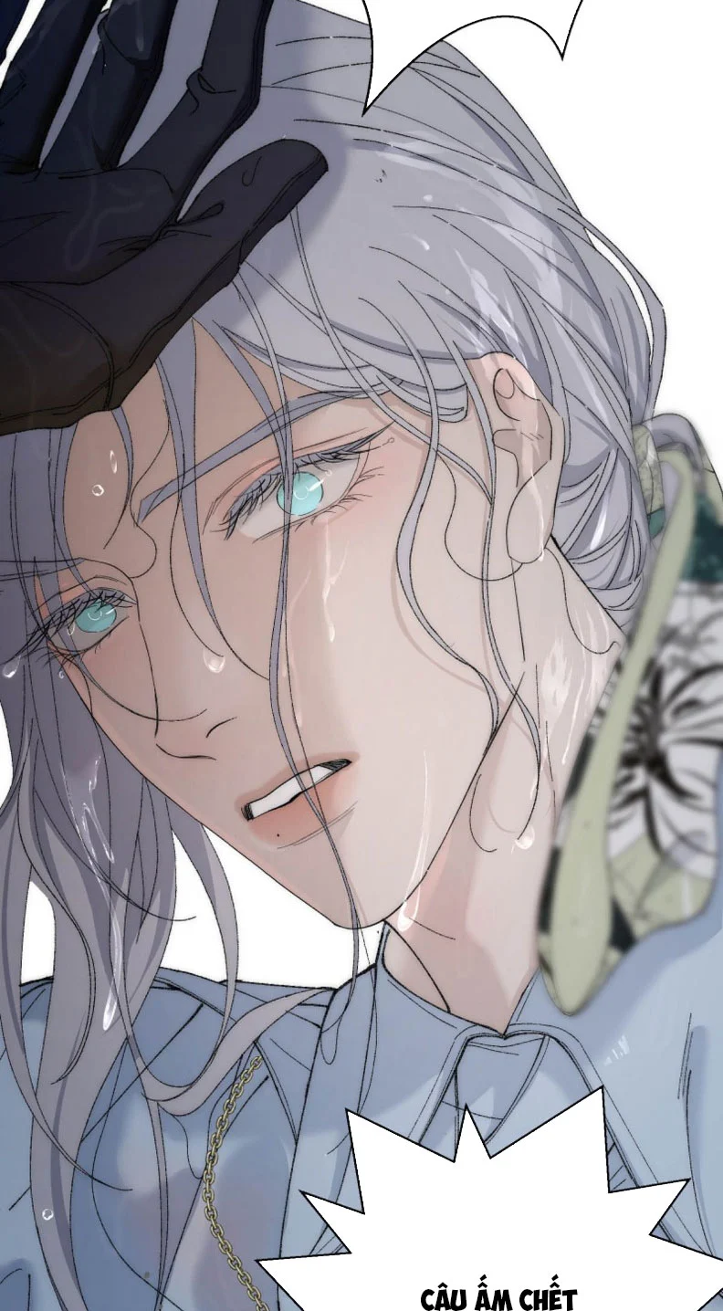 Mỗi Ngày Đều Muốn Làm Bệnh Kiều Vương Tử Xấu Hổ Muốn Độn Thổ Chapter 5 - Trang 2