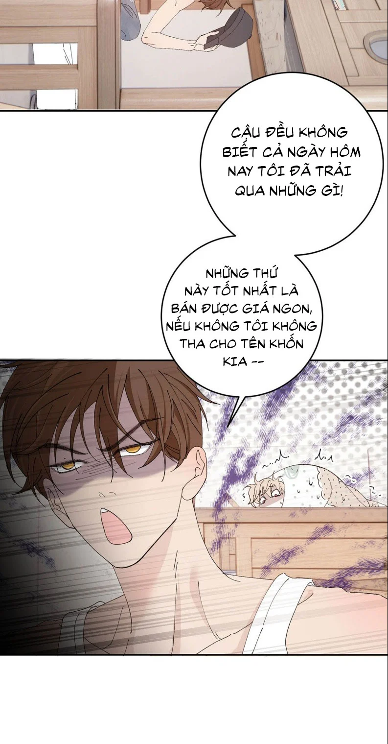 Mỗi Ngày Đều Muốn Làm Bệnh Kiều Vương Tử Xấu Hổ Muốn Độn Thổ Chapter 7 - Trang 2