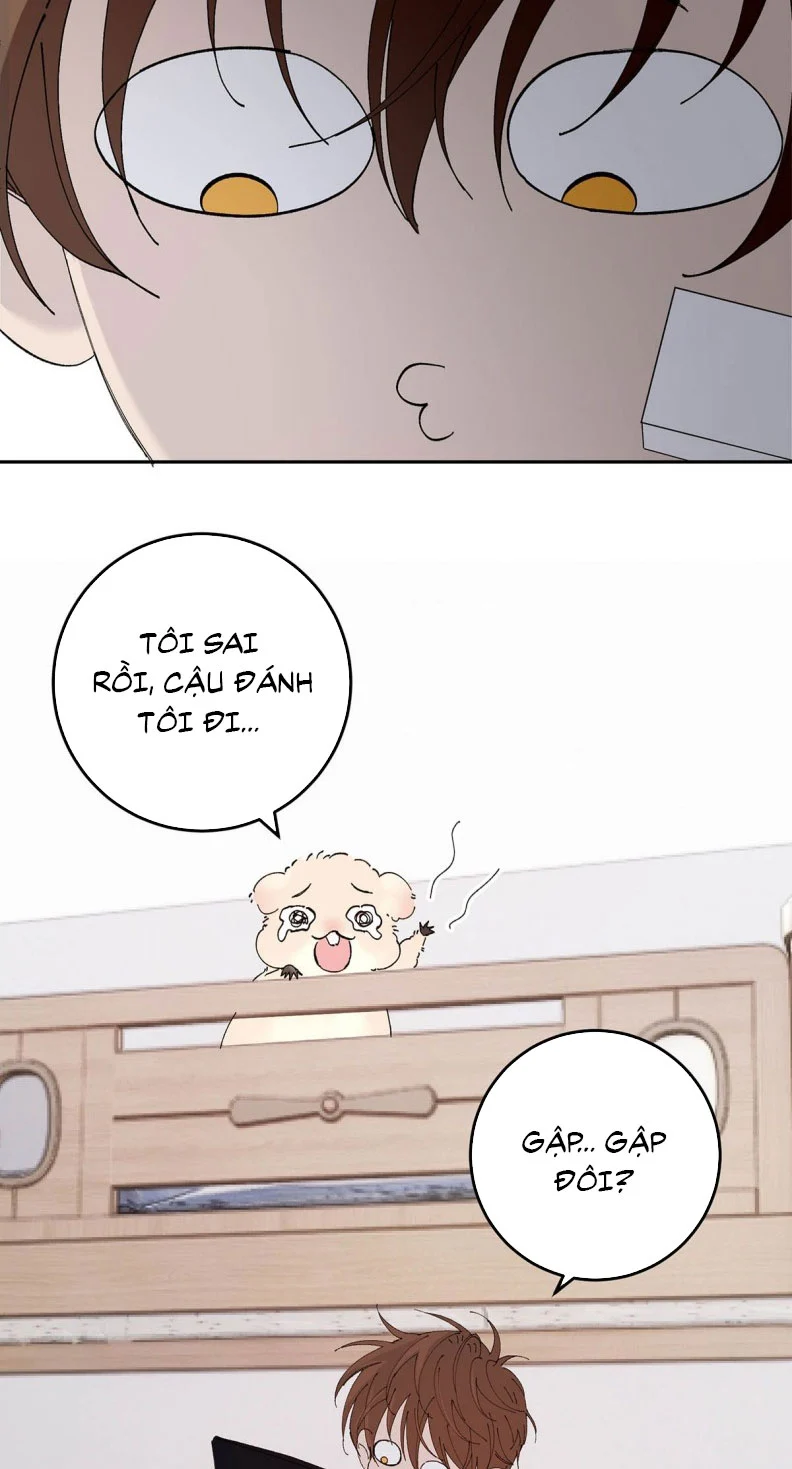 Mỗi Ngày Đều Muốn Làm Bệnh Kiều Vương Tử Xấu Hổ Muốn Độn Thổ Chapter 7 - Trang 2