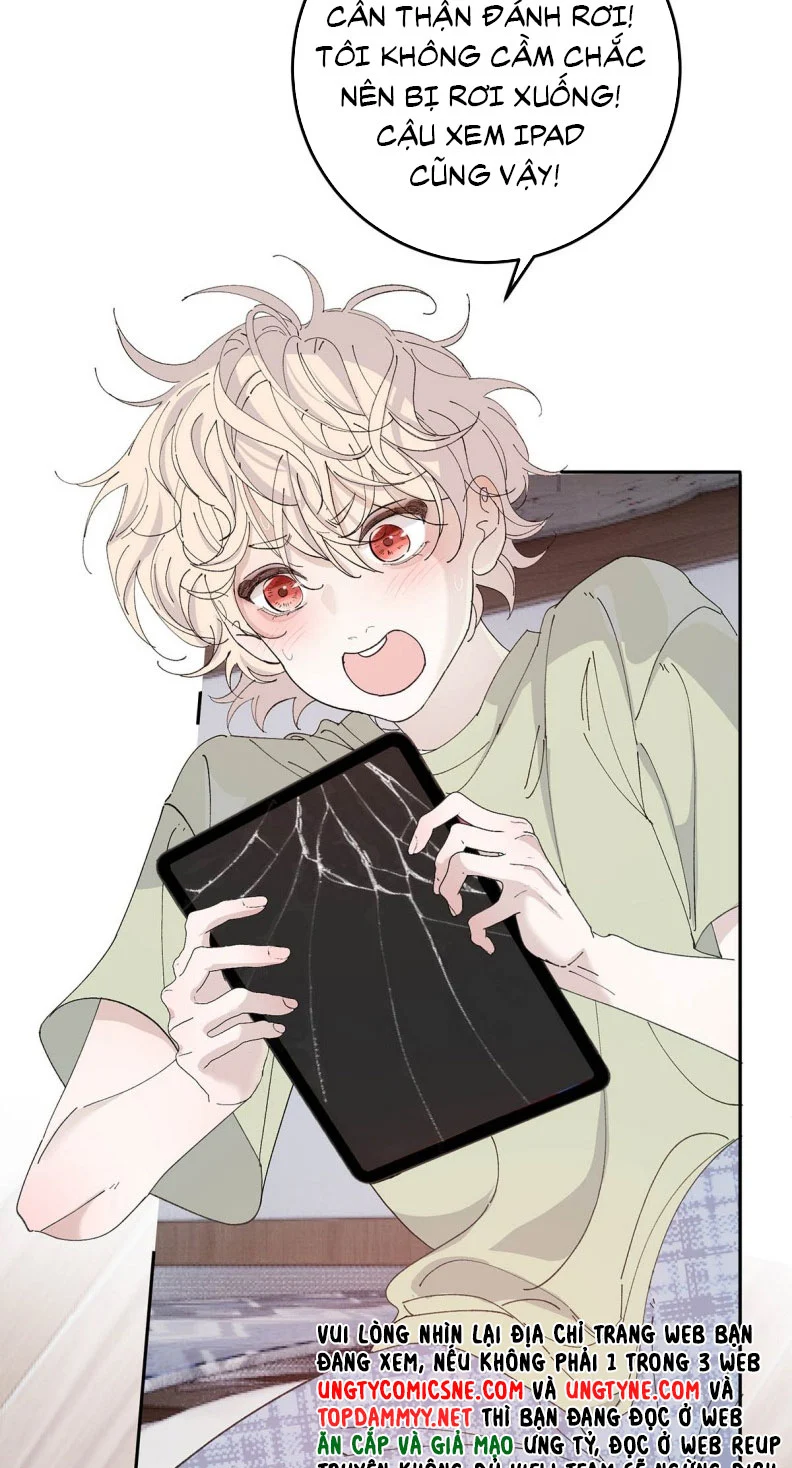Mỗi Ngày Đều Muốn Làm Bệnh Kiều Vương Tử Xấu Hổ Muốn Độn Thổ Chapter 7 - Trang 2