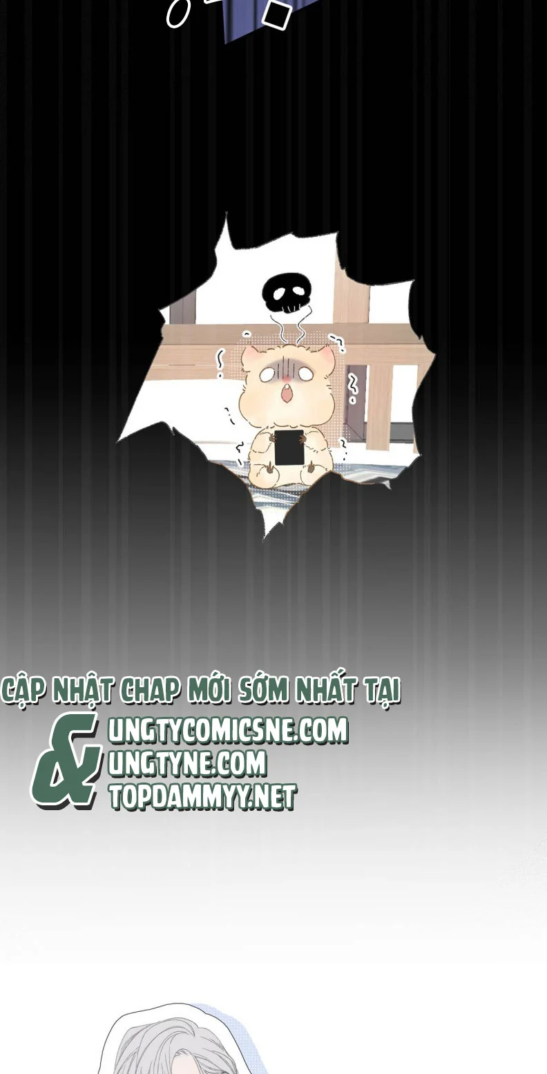 Mỗi Ngày Đều Muốn Làm Bệnh Kiều Vương Tử Xấu Hổ Muốn Độn Thổ Chapter 7 - Trang 2