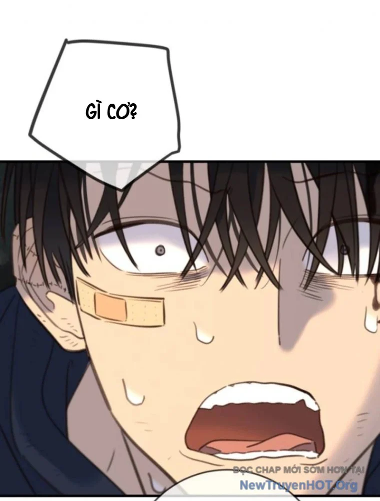 Mọi Người Đều Yêu Cô Ấy Chapter 20 - Next Chapter 21