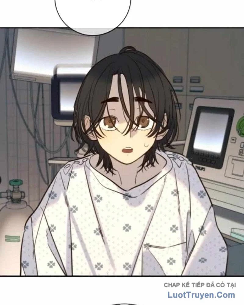 Mọi Người Đều Yêu Cô Ấy Chapter 42 - Trang 2