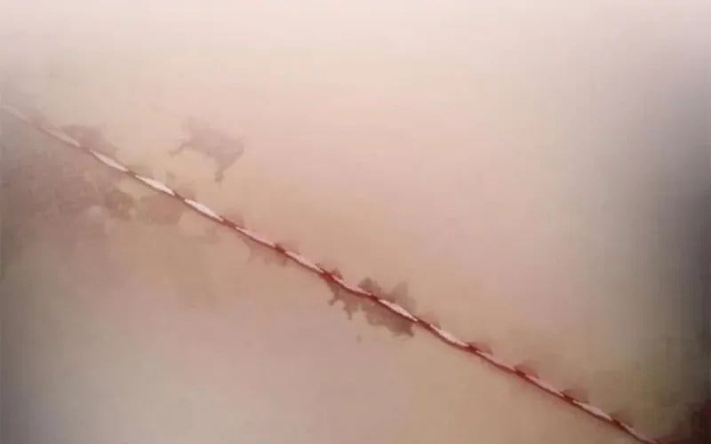 Một Anh Hùng Giỏi Mọi Thứ Chapter 59 - Trang 2