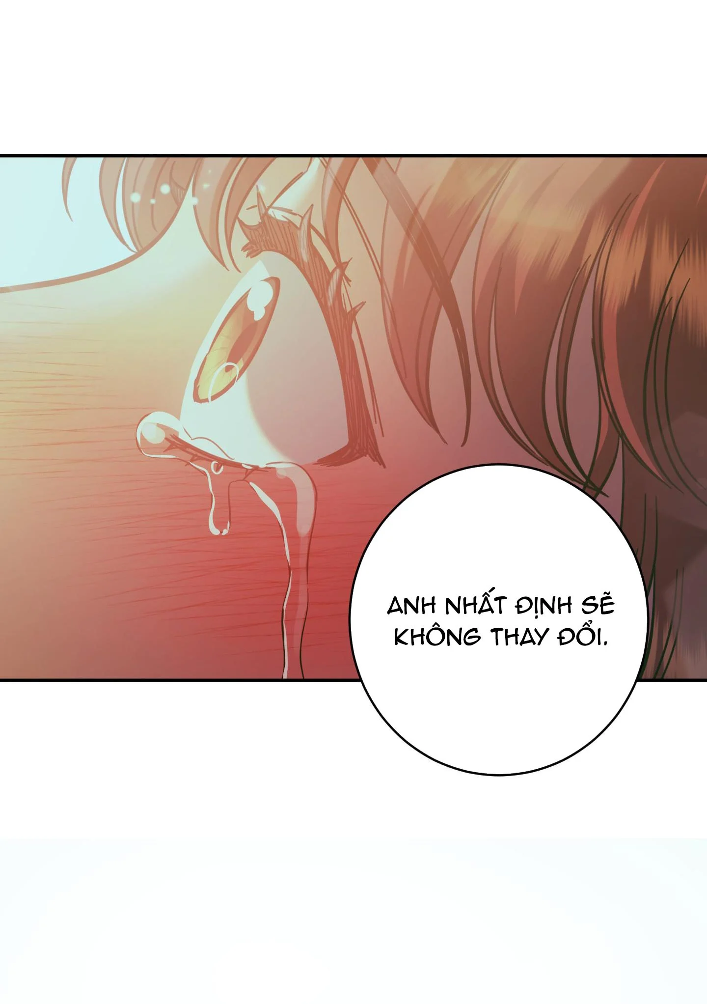 Một Lòng Một Dạ Chapter 93.2 - Trang 2
