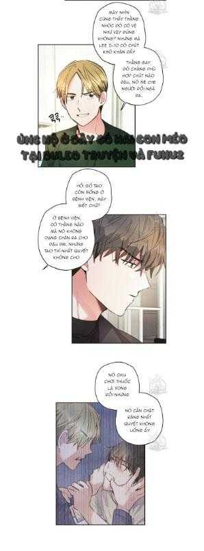 Mưa Giông Chapter 67 - Trang 3