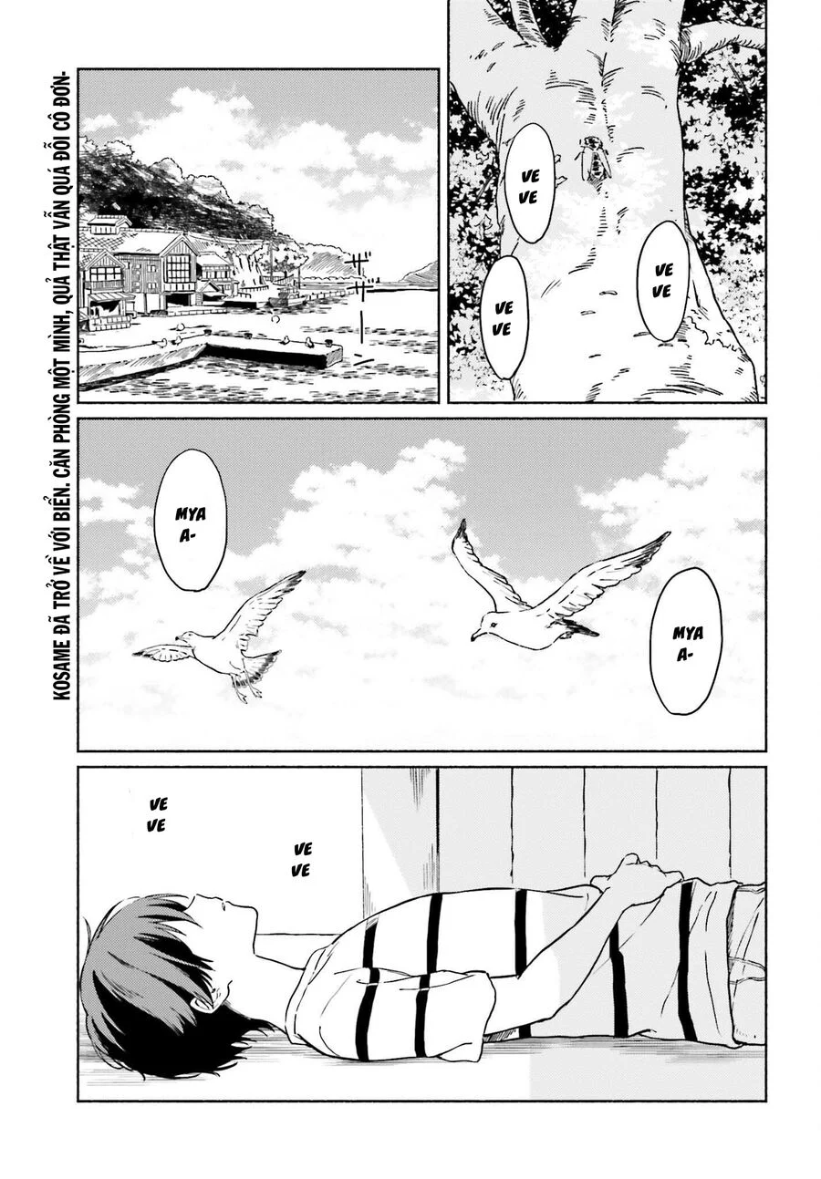 Nàng Hầu Cá Mập Bên Bờ Biển Chapter 13 - Trang 2