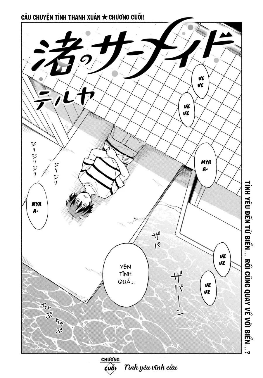 Nàng Hầu Cá Mập Bên Bờ Biển Chapter 13 - Trang 2