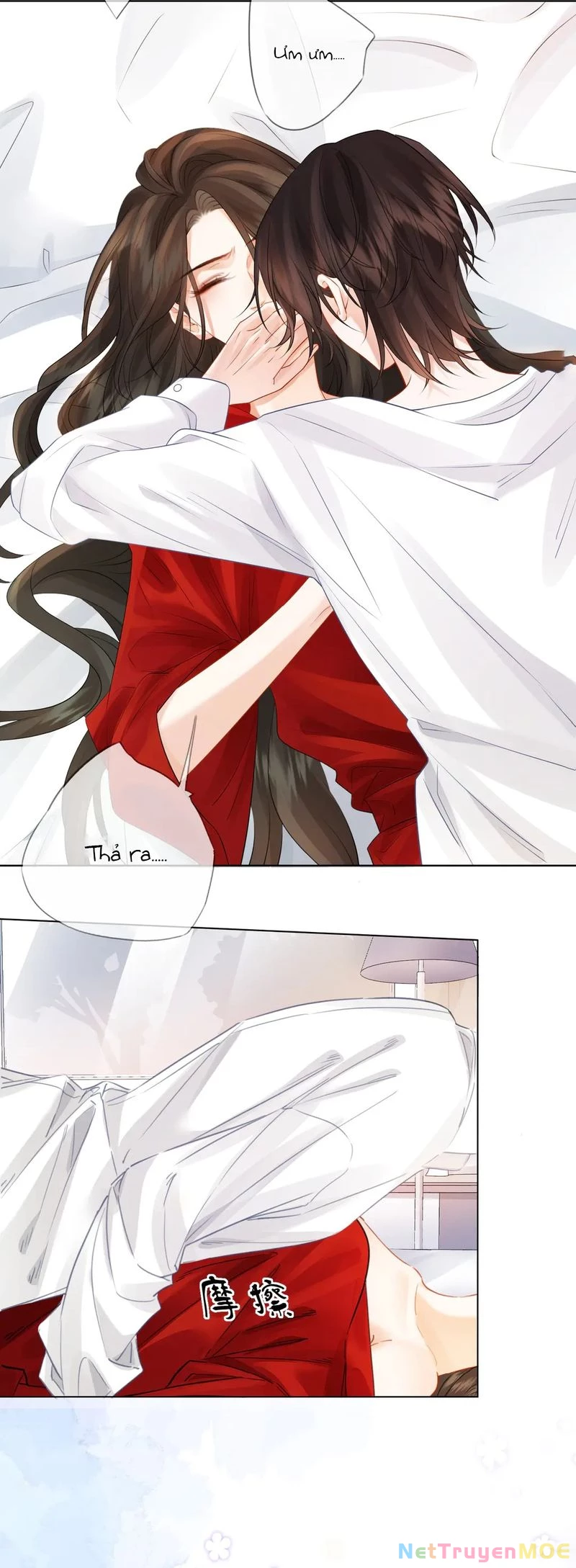 Nàng Pháp Y Thân Yêu Của Tôi Chapter 81 - Trang 2