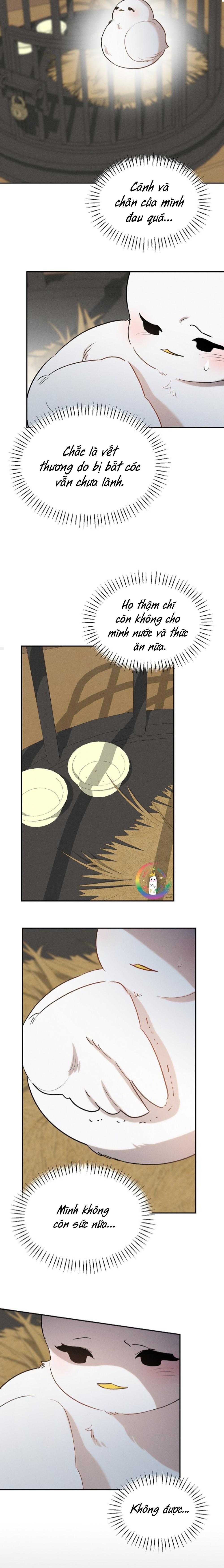 Này, Đừng Có Nhấn Cái Nút Đó! Chapter 61 - Next 