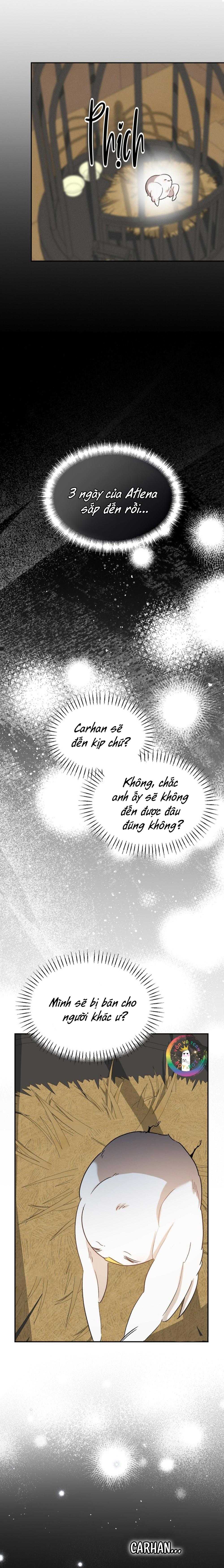 Này, Đừng Có Nhấn Cái Nút Đó! Chapter 61 - Next 