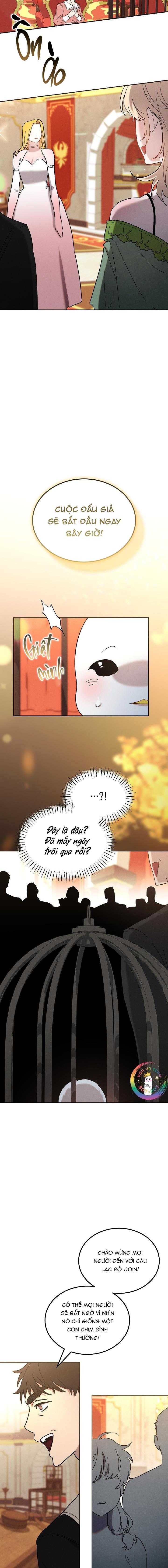 Này, Đừng Có Nhấn Cái Nút Đó! Chapter 62 - Trang 3
