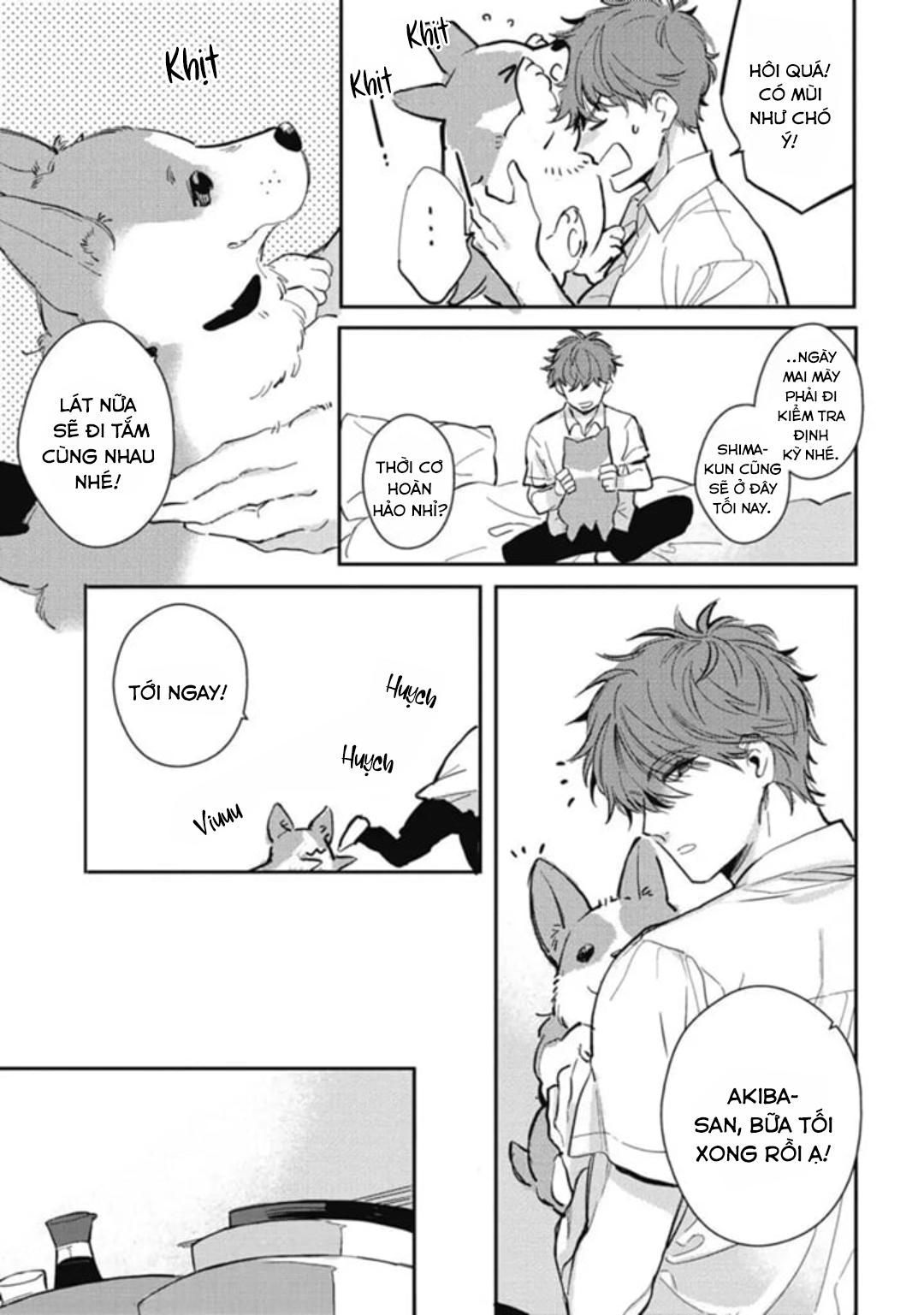 Neighbor Sugar Boy Chapter 3 - Trang 3