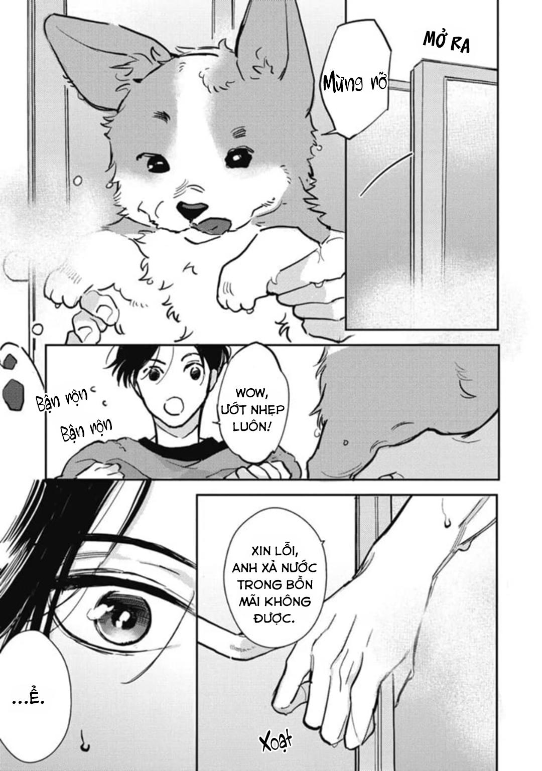Neighbor Sugar Boy Chapter 3 - Trang 3