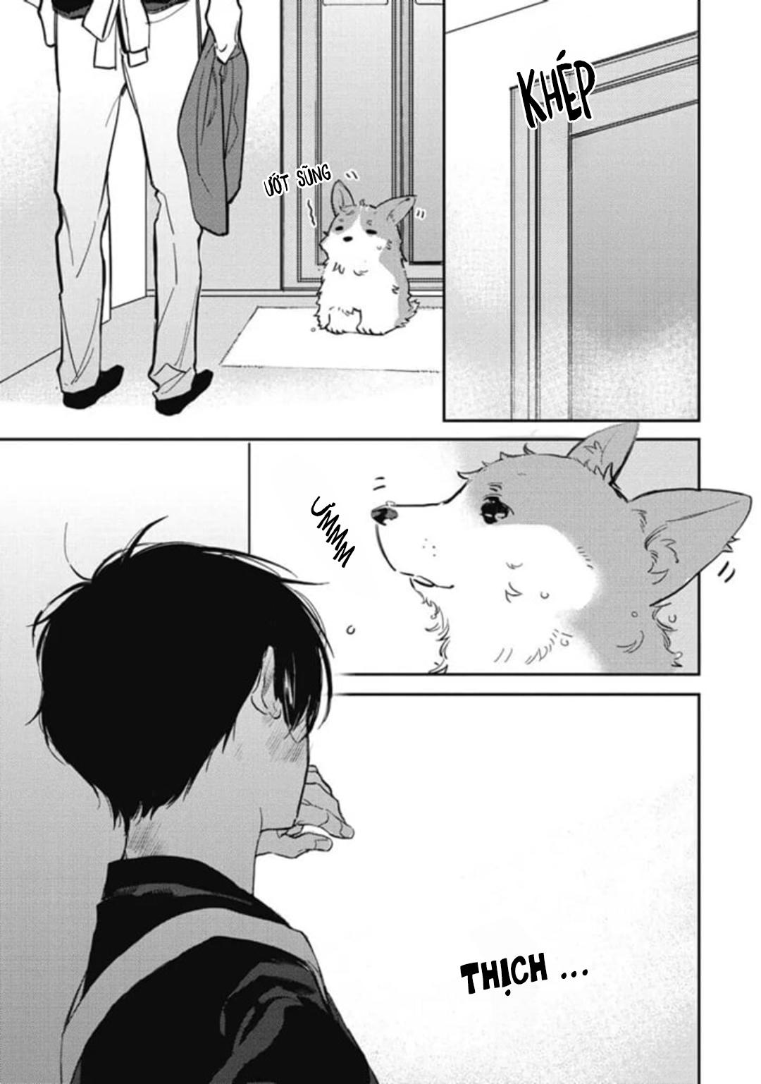 Neighbor Sugar Boy Chapter 3 - Trang 3