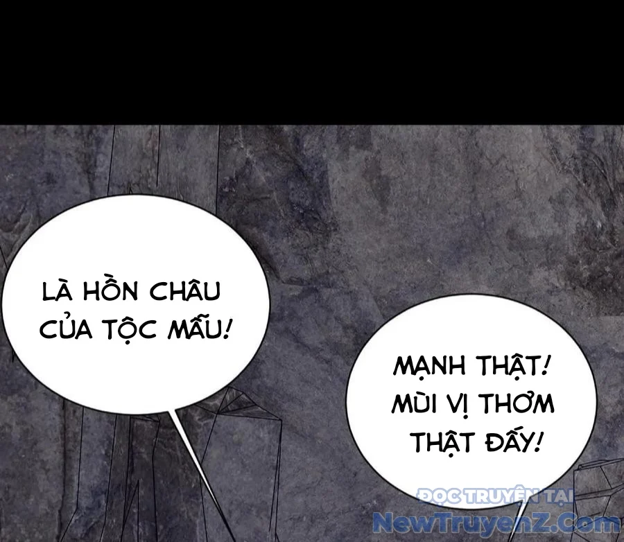 Ngày Tôi Sinh Ra, Bách Quỷ Dạ Hành, Tuyết Thi Hộ Đạo Chapter 717 - Trang 3