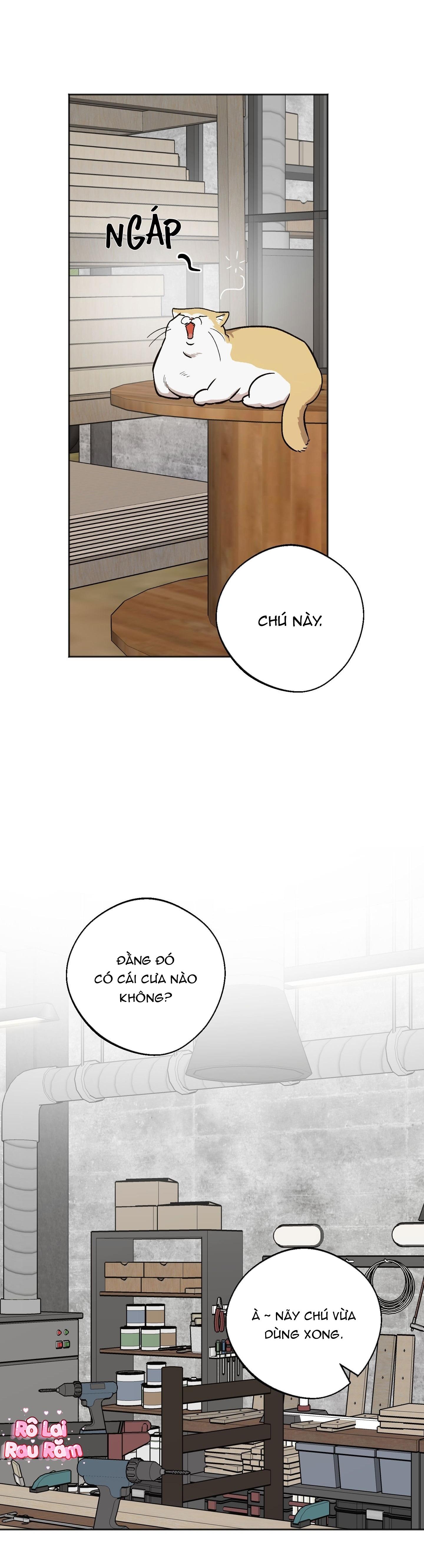 NGHI LỄ CẦU NGUYỆN Chapter 23 - Trang 3