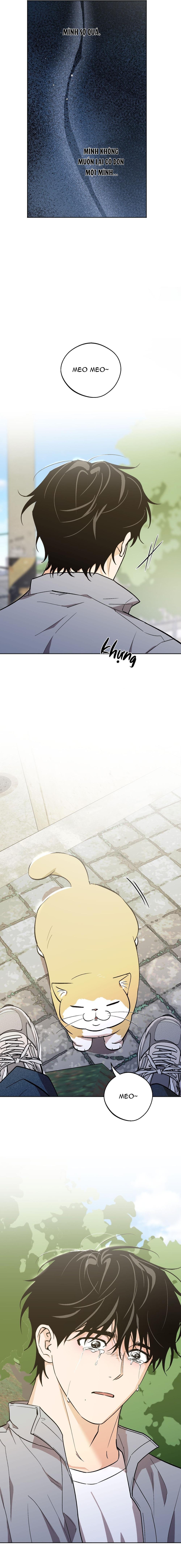NGHI LỄ CẦU NGUYỆN Chapter 31 - Trang 3