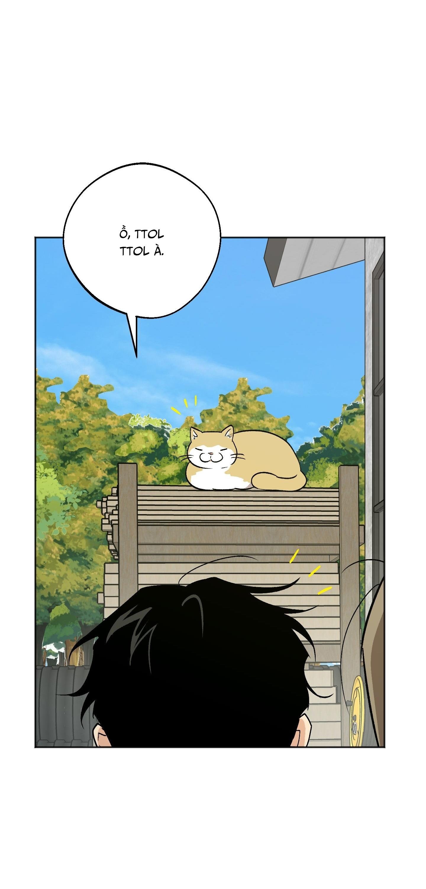 NGHI THỨC CẦU NGUYỆN Chapter 17 - Trang 3