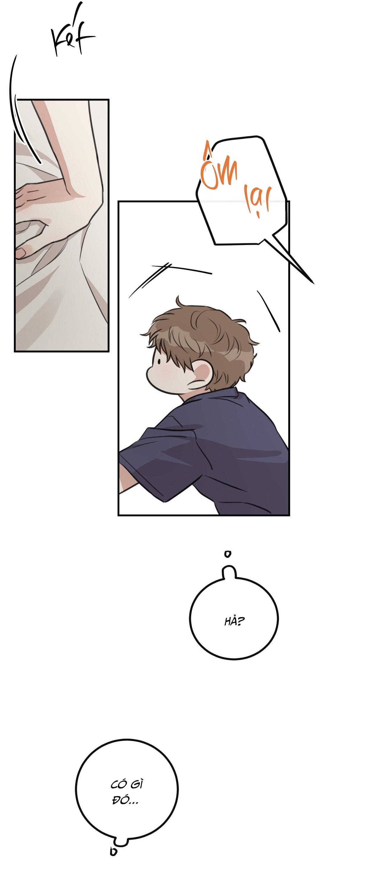NGHỊCH LÝ SANDWICH Chapter 19 - Next 