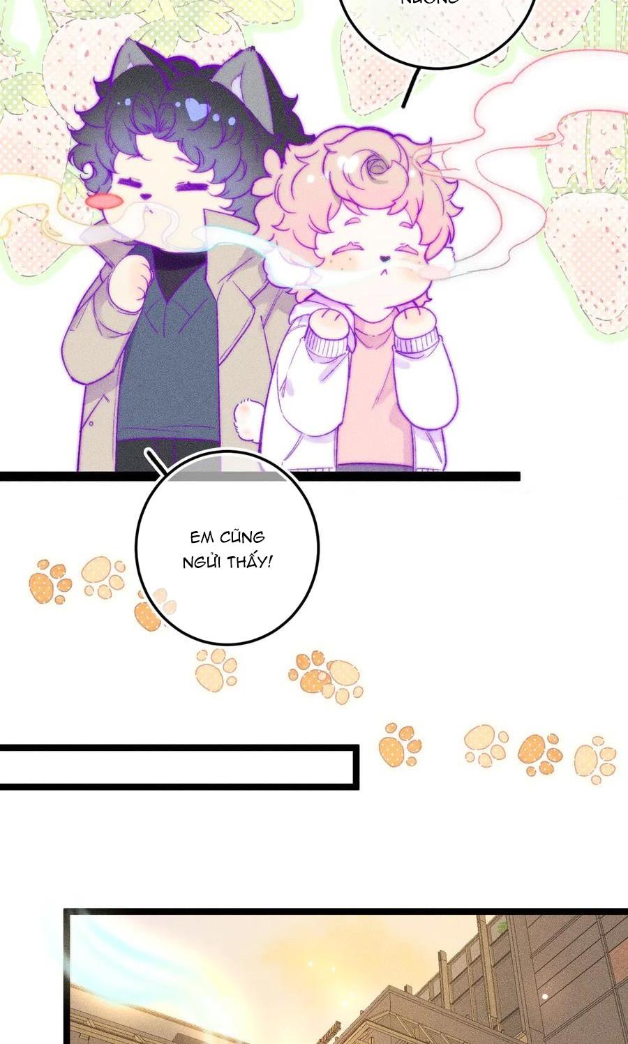 Ngốc Nghếch Đáng Yêu Chapter 35 - Next 