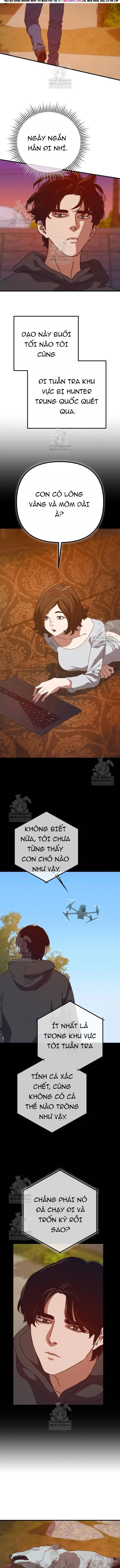 Ngôi Nhà Ẩn Ngày Tận Thế Chapter 81 - Trang 2