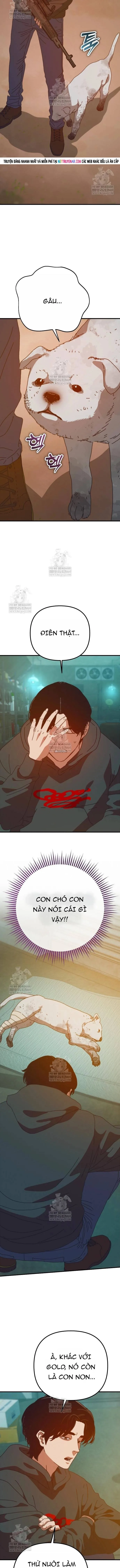 Ngôi Nhà Ẩn Ngày Tận Thế Chapter 81 - Trang 2