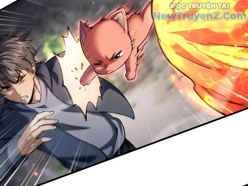 Ngự Thú: Ta Có Thế Thấy Toàn Bộ Chi Tiết Tiến Hóa Chapter 22 - Trang 3