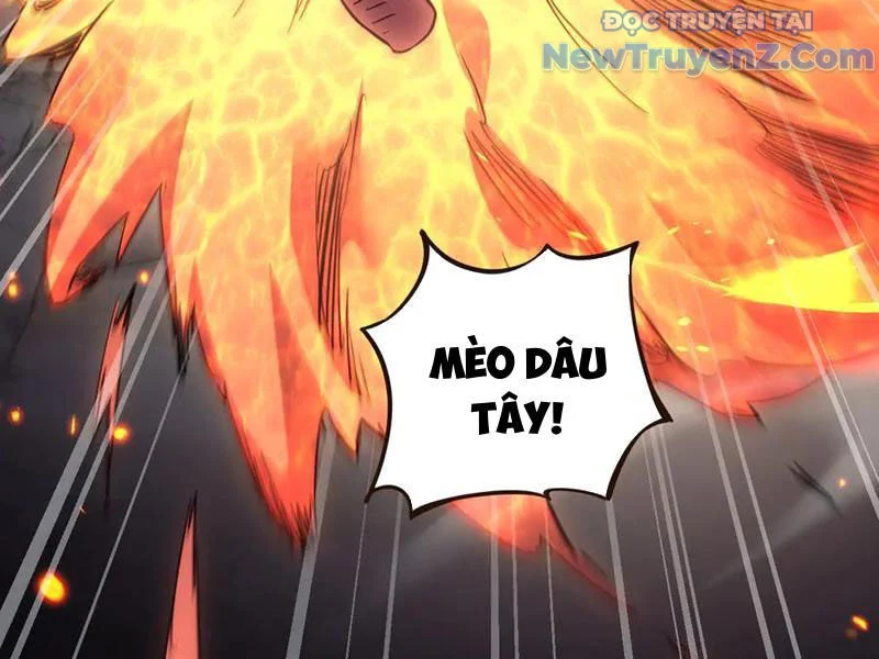 Ngự Thú: Ta Có Thế Thấy Toàn Bộ Chi Tiết Tiến Hóa Chapter 22 - Trang 3
