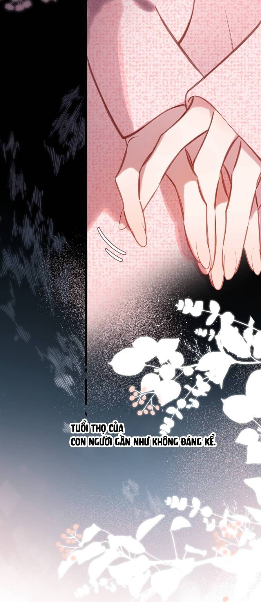 Ngược Dòng Mùa Xuân Chapter 31 - Trang 2