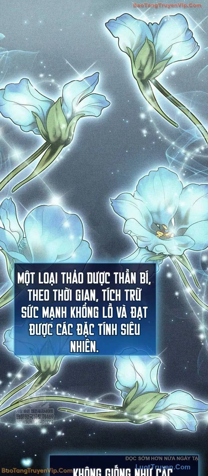 Người Chơi Che Giấu Quá Khứ Chapter 97 - Trang 2