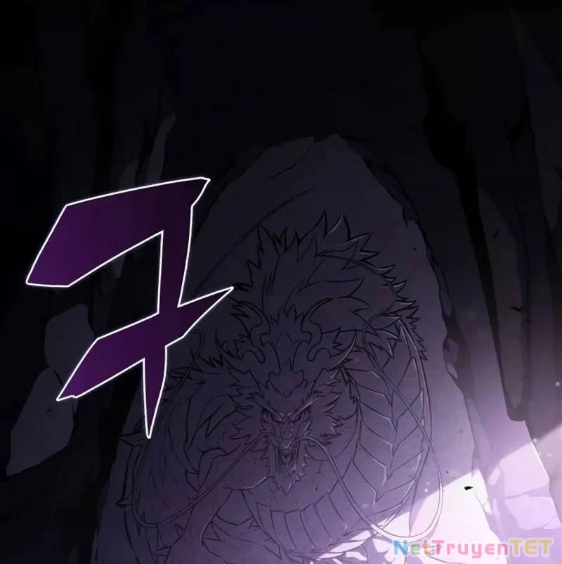 Người Chơi Mới Cấp Tối Đa Chapter 190 - Trang 4