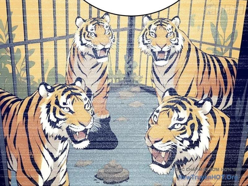 Người Chơi Siêu May Mắn Chapter 58 - Trang 3