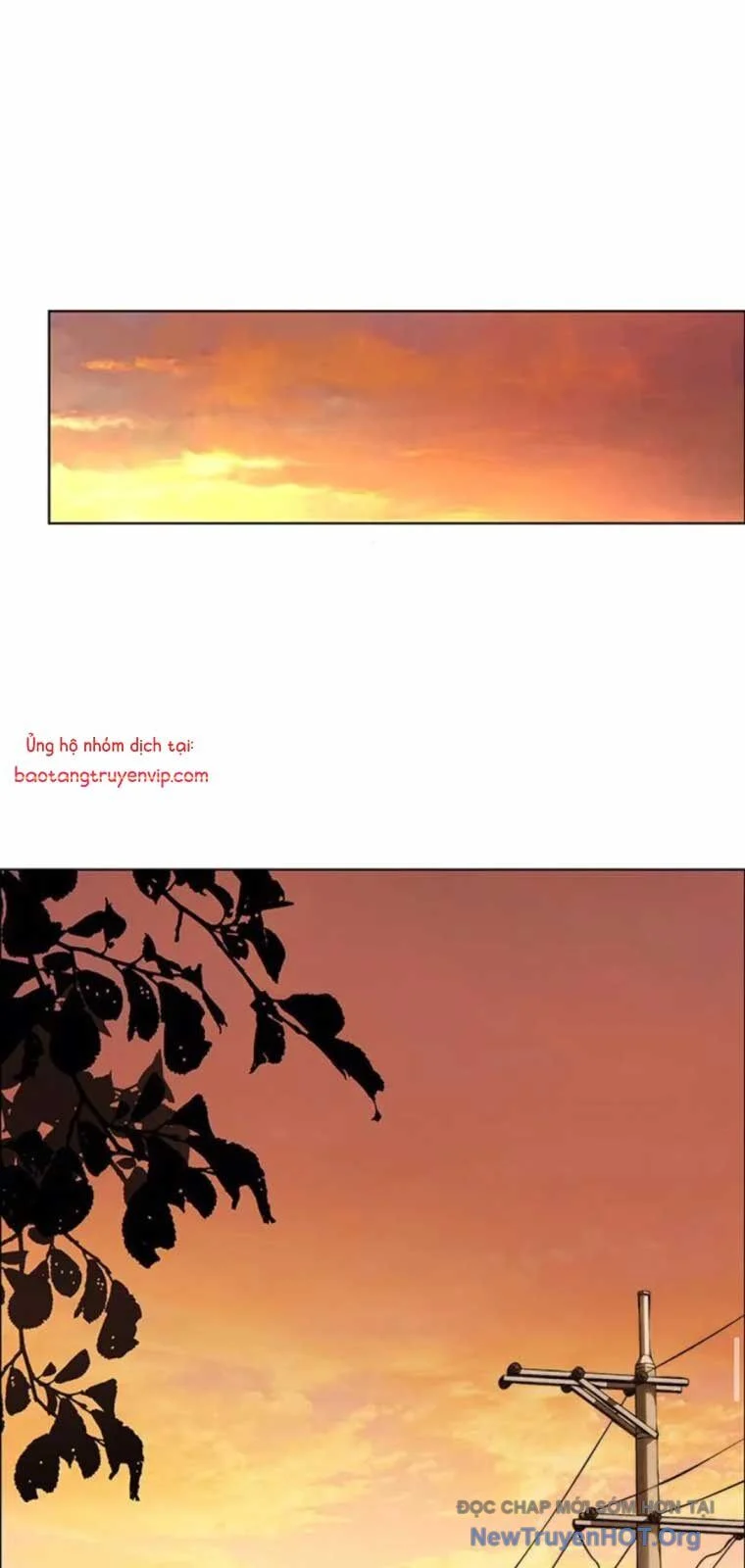 Người Đàn Ông Thực Thụ Chapter 209 - Trang 2