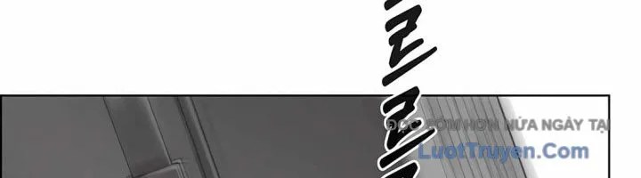 Người Đàn Ông Thực Thụ Chapter 223 - Trang 2