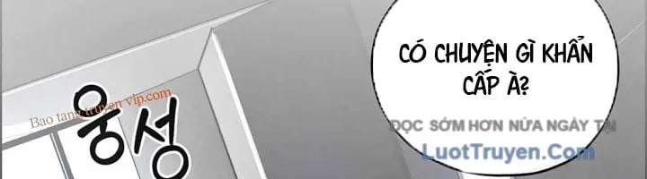 Người Đàn Ông Thực Thụ Chapter 224 - Trang 2