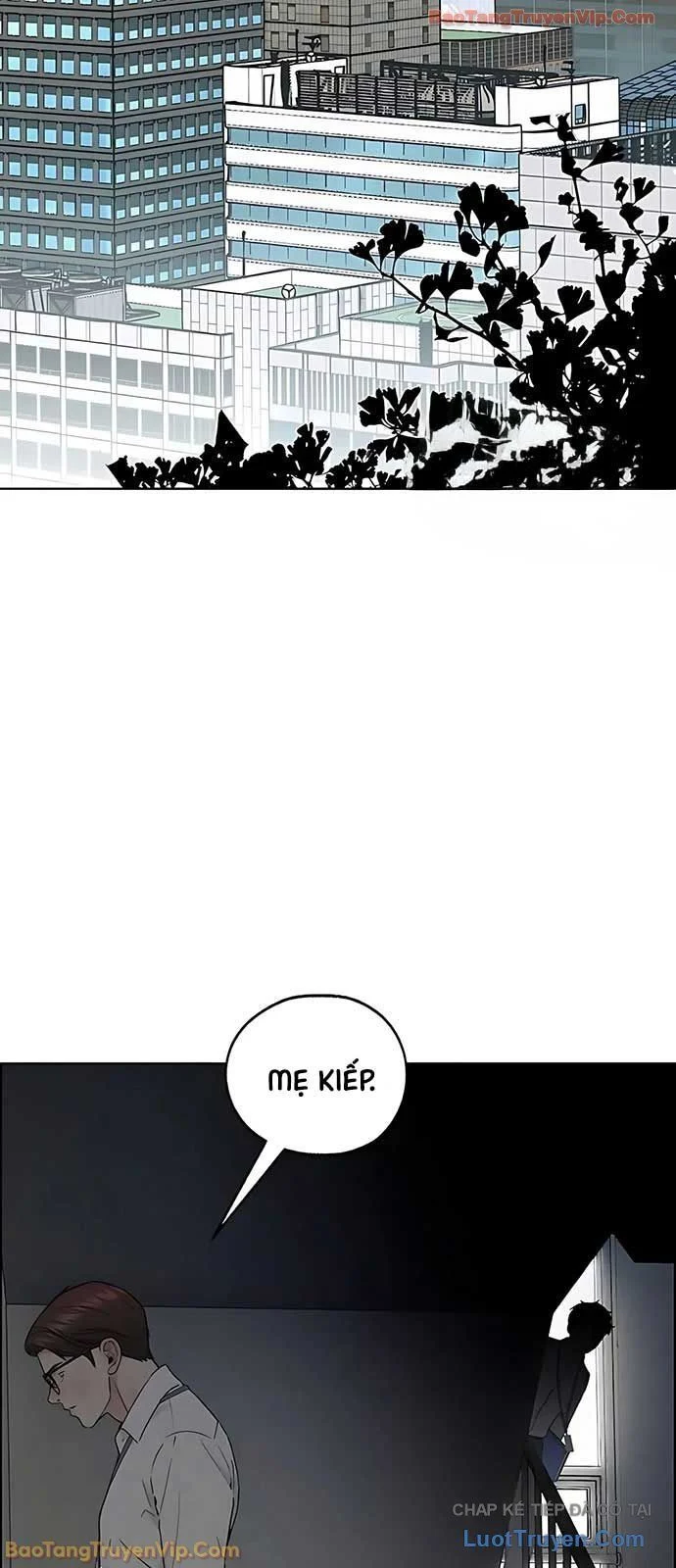 Người Đàn Ông Thực Thụ Chapter 234 - Trang 2