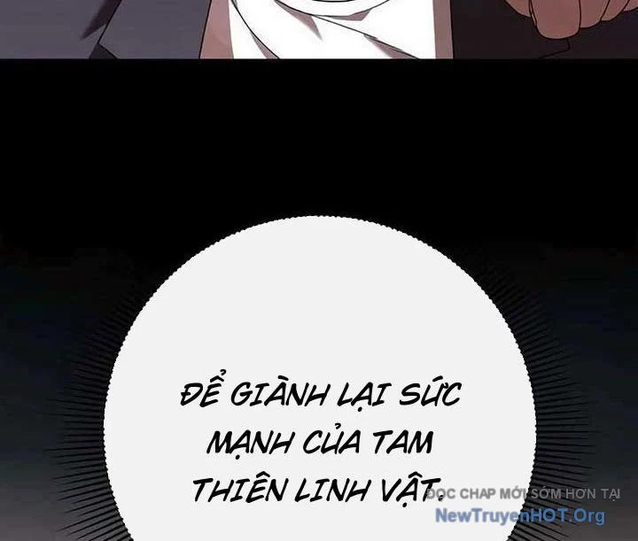 Người Giám Định Cổ Vật Chapter 44 149