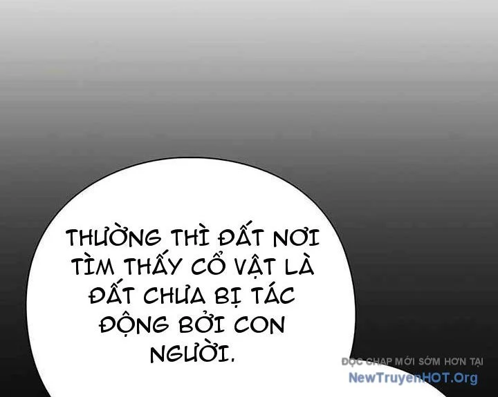 Người Giám Định Cổ Vật Chapter 45 - Trang 2