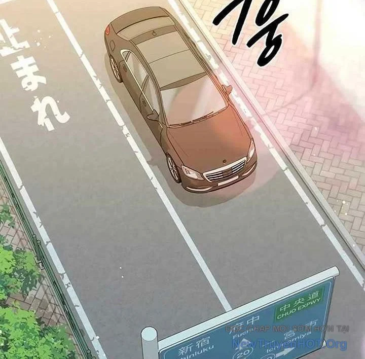 Người Giám Định Cổ Vật Chapter 46 - Trang 2